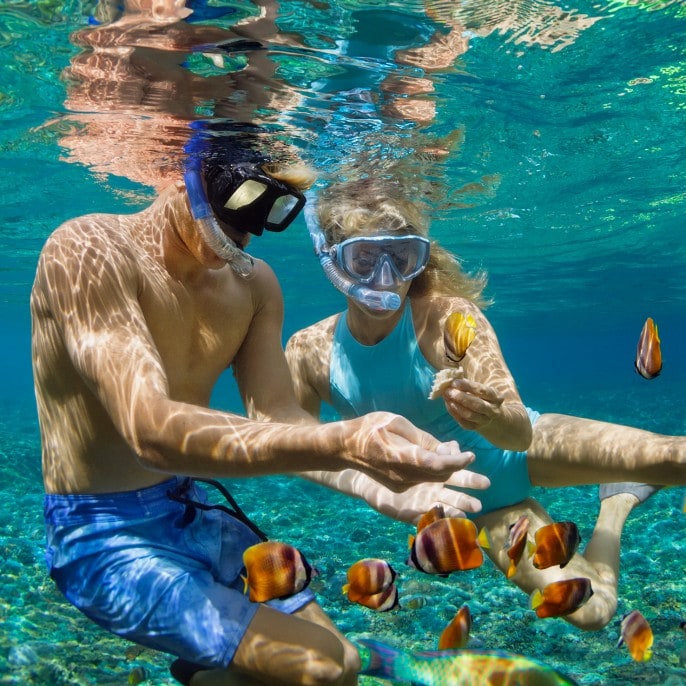  Costa Kreuzfahrten Bildidee 