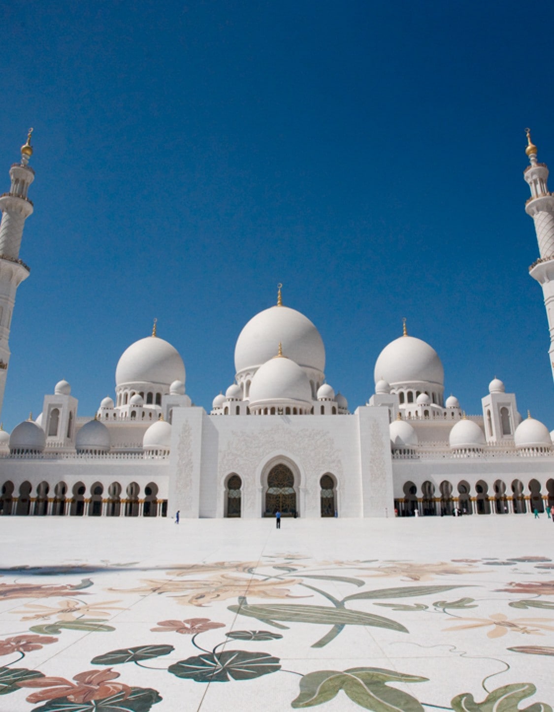  Kreuzfahrten im November 2025-2026: mit Flug 